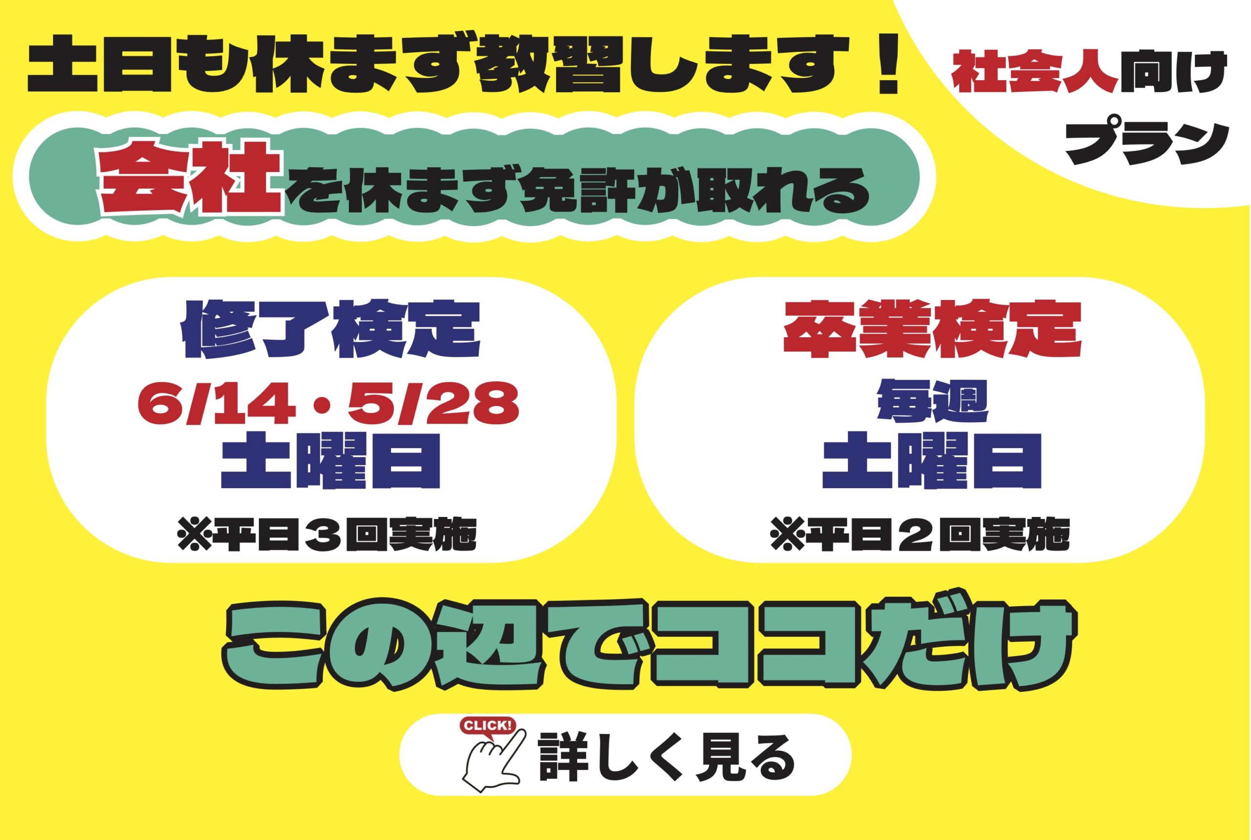 一般プラン