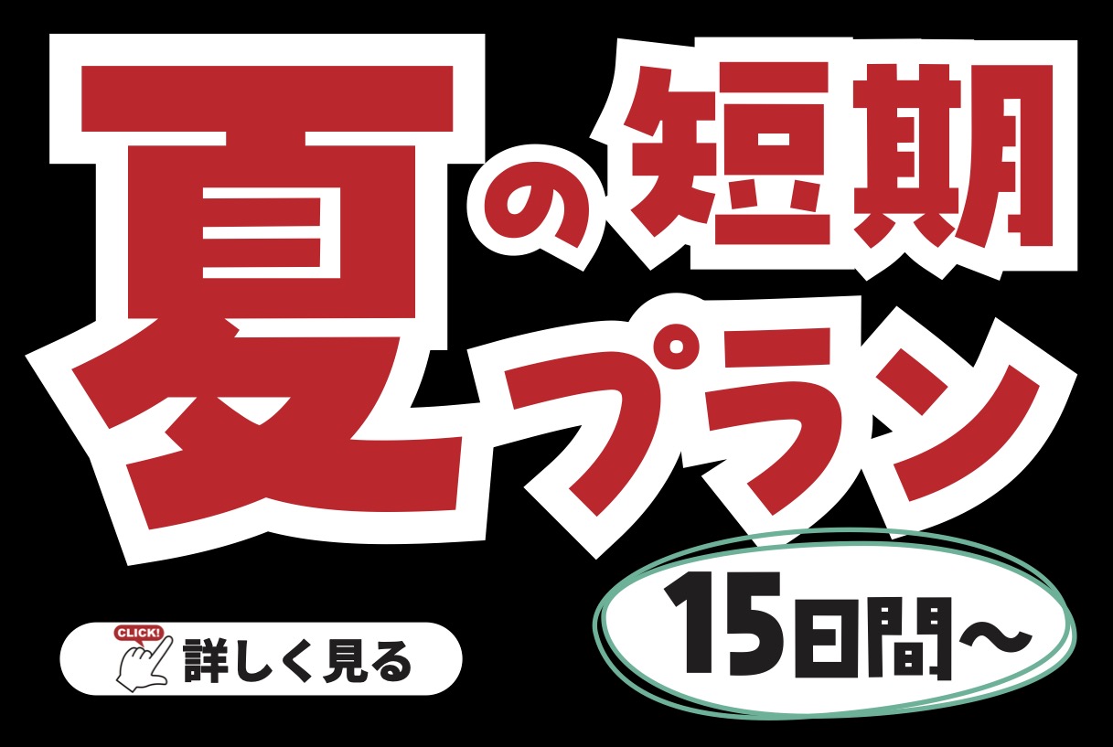 夏短期プラン